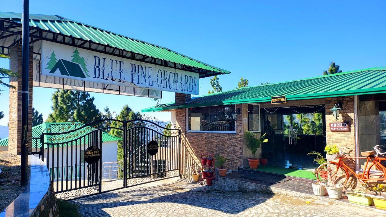 Blue Pine Orchards - Villas Lansdowne Zewnętrze zdjęcie